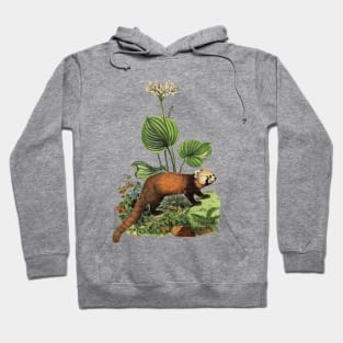 RED PANDA Illustration Hoodie